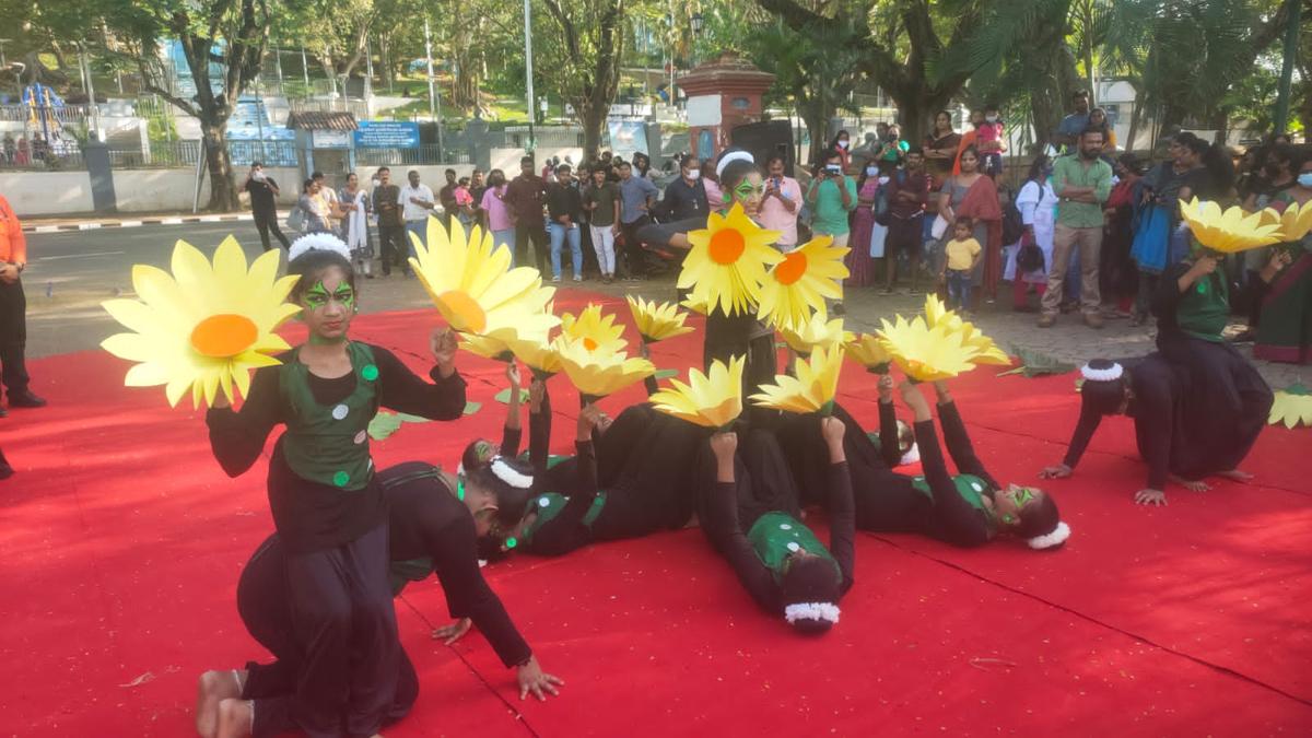 Visual treat by students on ozone preservation The Hindu